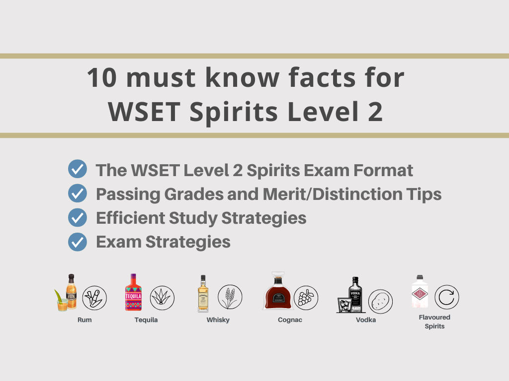 10 Must-Know Facts for the WSET Spirits Level 2 Exam